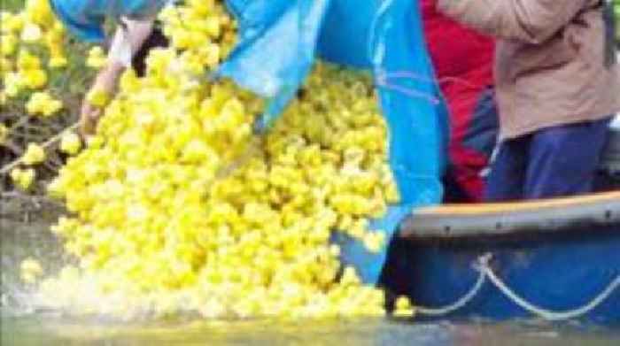 Duck Derby to return for 36th year