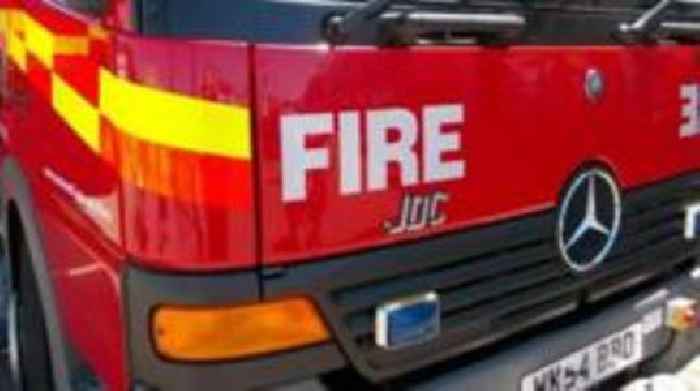 Dog rescued from mud after falling off riverbank