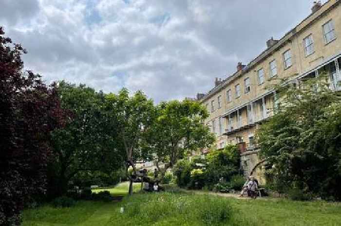 'I had a look around Clifton's hidden gardens and was mind blown'