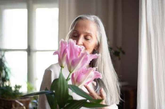 Make lilies last longer with florist's method which takes 'seconds'