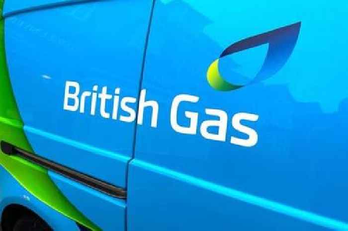 British Gas tells customers they can save £30 by doing one thing
