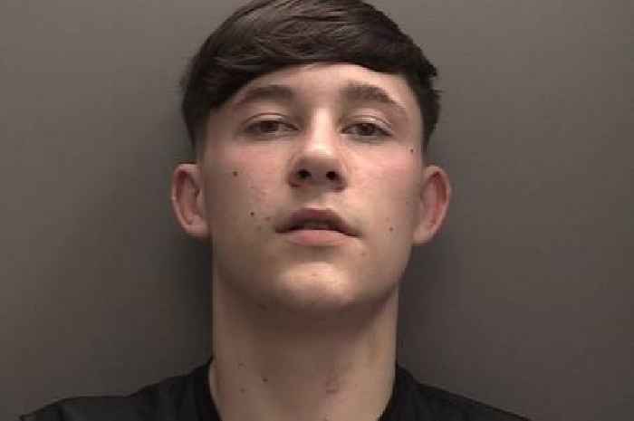 'I will cut your dog in half' - balaclava-clad robber armed with 60cm machete made chilling threat to man and said he'd 'chop him up'