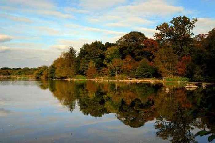 The Essex cafe next to a lake in the middle of a forest with scenic views