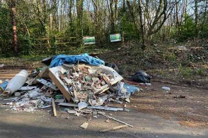 'Bring back dog licences and charge for paper cups to help tackle littering epidemic'