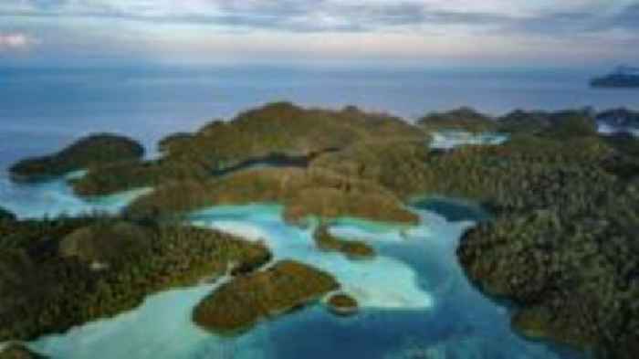 Race to mine metals for EV batteries threatens marine paradise