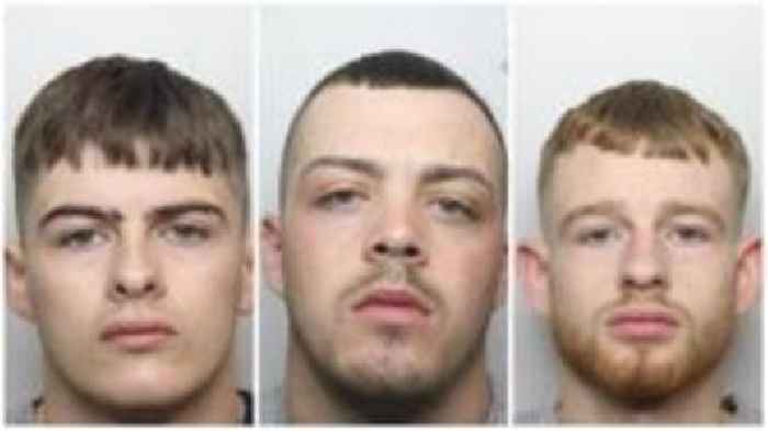 Trio who targeted cars and motorbikes sentenced