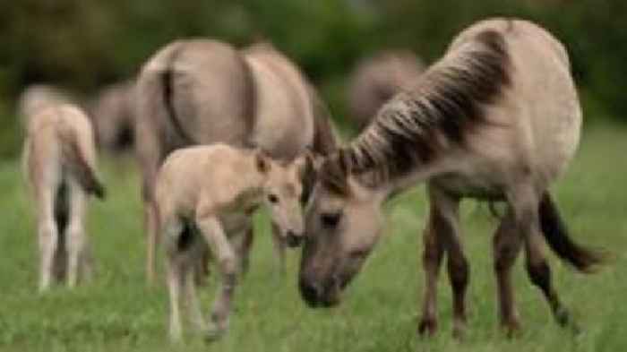 Plan to protect habitats under 'intense pressure'