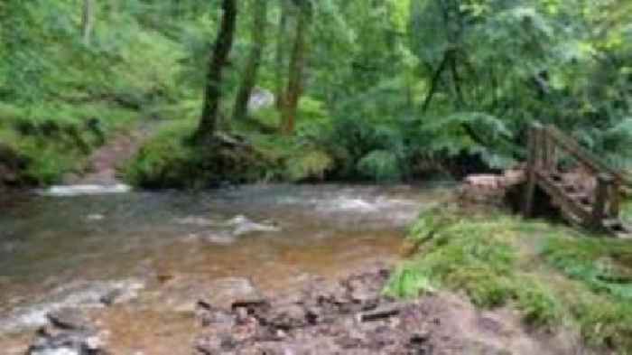 National park footbridge swept away after heavy rain