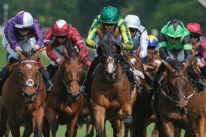 Manx the Man to beat the Jumps boys and scale Ascot heights