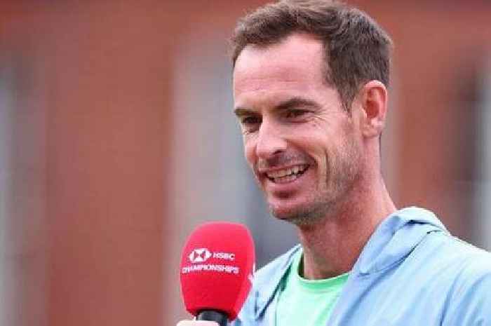 Andy Murray lands new job one month after Novak Djokovic split