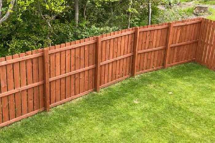 Lawyer says little-known fence law could see '£20,000 fines' for homeowner