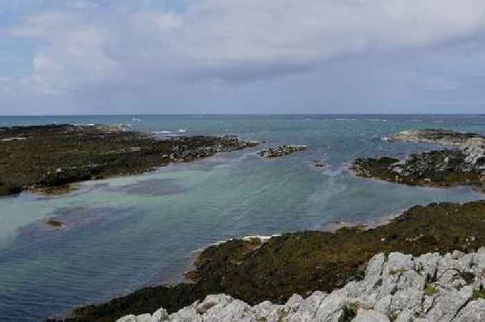 Dream job on tiny Scottish island with cottage provided in 'rare opportunity'