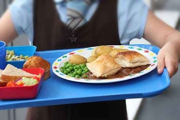 Expansion of free school meals to eight local authorities including South Lanarkshire