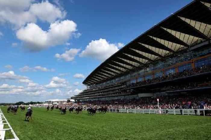 Royal Ascot 2025 Day 1 tips and best bets as Sardinian Warrior napped for glory