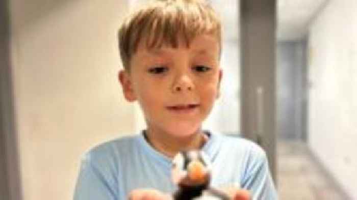 Boy, 8, sends rubber puffins around the world
