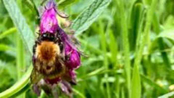 Forest Garden gives insight into climate change