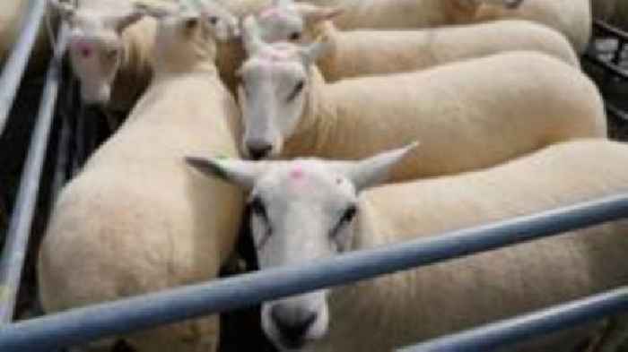 Farmers encouraged to get health checkup at market