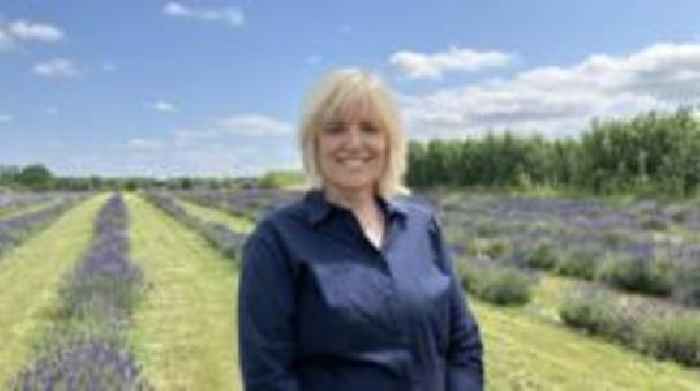 'Difficult' to weed lavender farm since Brexit