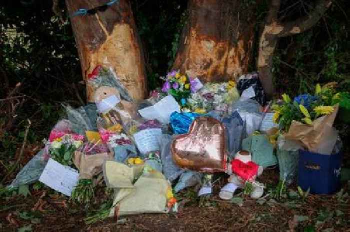 Young men died after car hit tree in Nottinghamshire village, inquest told