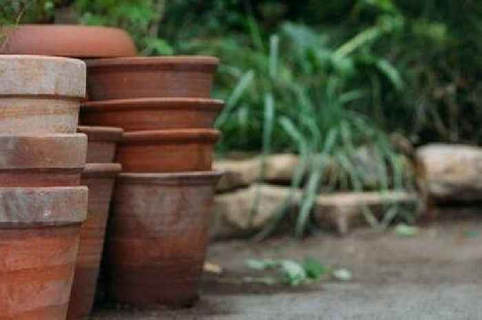 Gardener's centuries-old trick means you don't need to water plants daily