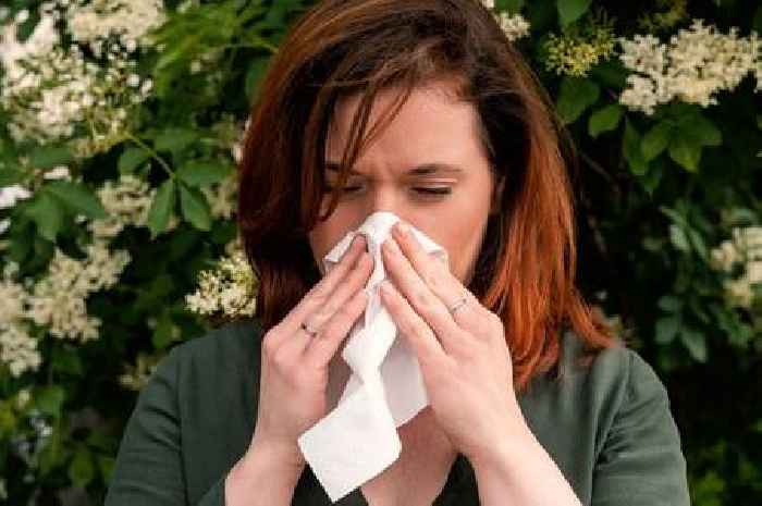 Banish pollen from the home with 30-second hay fever method