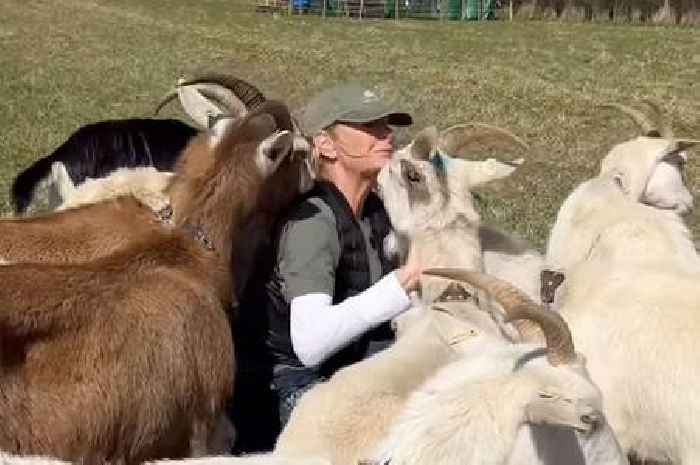 Clarkson's Farm season 5 filming thrown into chaos as Lisa Hogan shares update