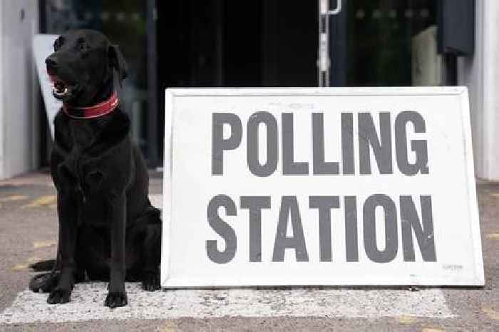 Candidate make pitches ahead of Bedwell by-election in Stevenage