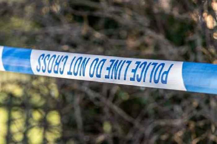 Young man found dead after car crash near tiny Essex village