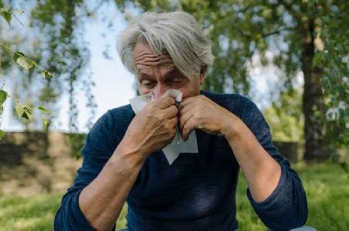 Simple 30-second method to prevent hay fever symptoms as UK sees 'very high' pollen levels