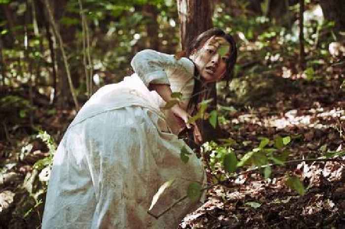 Amazon Prime fans say you 'won't recover' from little-known horror film with 'devastating' ending