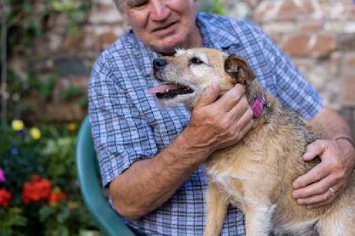 Dog trainer shares three breeds he 'wouldn't recommend' for first time owners