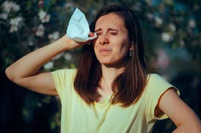 Brits urged to follow this 30-second rule as pollen levels soar