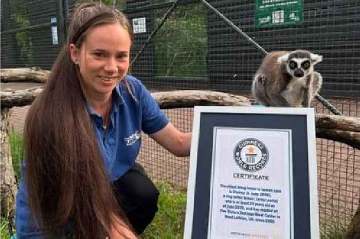 Lemur at West Lothian zoo claims Guinness World Record