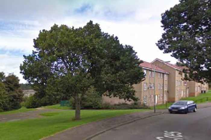 Schoolgirl mauled by dog and rushed to hospital with 'serious injury'