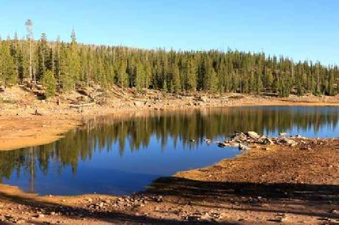 Two-year-old boy found dead on camping holiday after disappearing from caravan