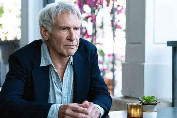 Father and son say starring with Harrison Ford in whisky campaign was ‘surreal’