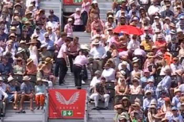 Queen's tennis match halted as cries of 'stop, stop, stop' heard on TV coverage