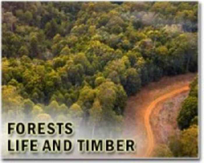 Key factors shaping soil carbon storage in boreal forests revealed