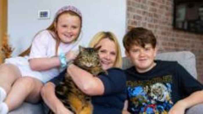 Is troublemaker Rocky the UK's top cat?