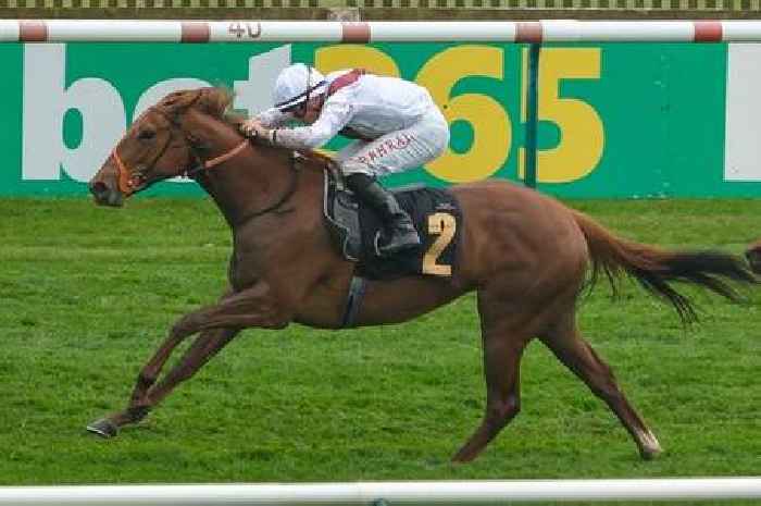 Harry’s Girl horse dies in Royal Ascot horror fall as fans demand ITV update