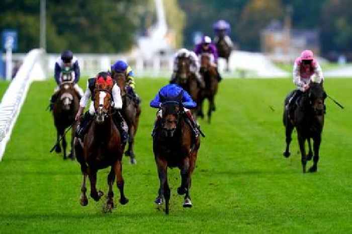 'I tipped 7-1 and 9-2 winners on Royal Ascot day two – here are my day three tips'