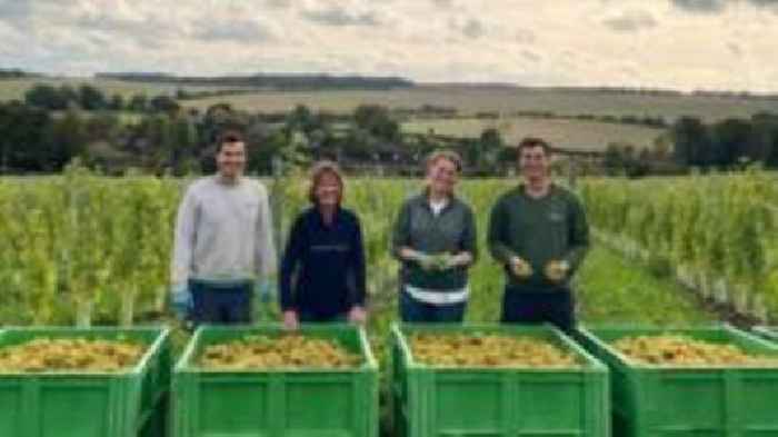 Wine helps farming family cope with climate change