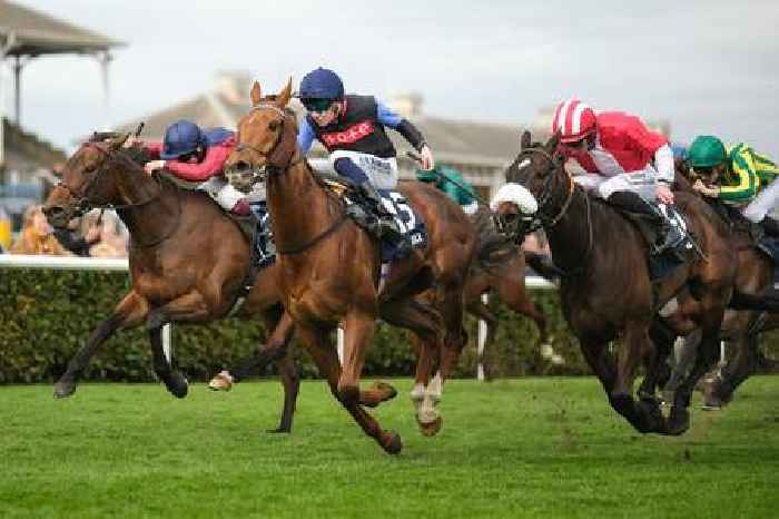 Glen and Oliver can Show you the way to decent profit