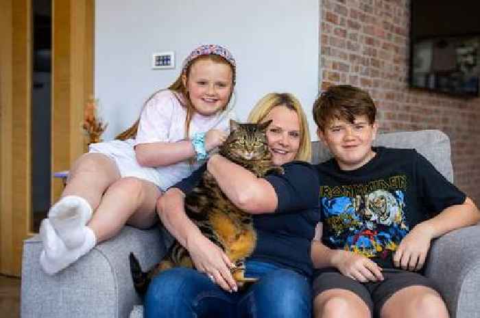 Derby cat that loves winding up owner's dad in line for national accolade