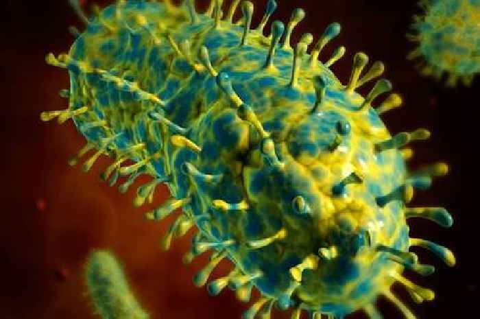 Person dies in UK after becoming infected with rabies while on holiday
