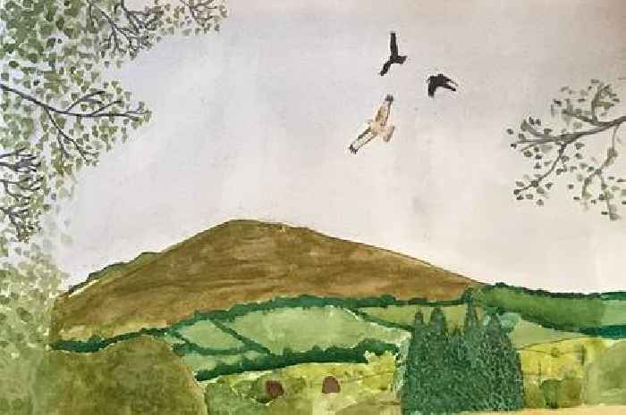 Budding young artists invited to capture Devon’s wild beauty on canvas