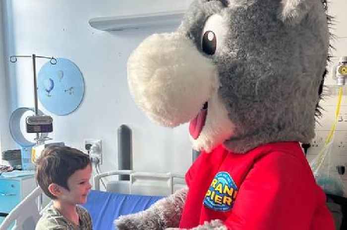 Dani the Donkey delights young patients at Bristol Royal Hospital visit