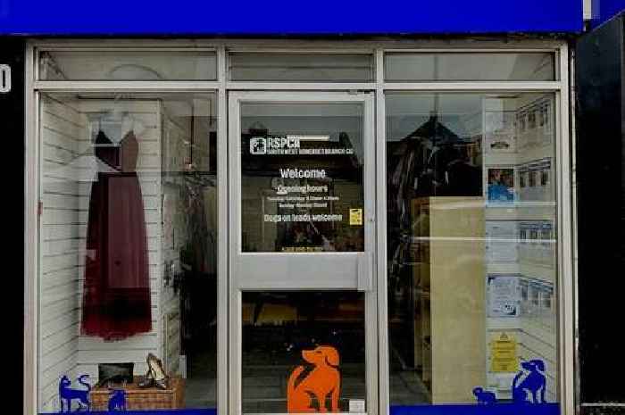Refurbished RSPCA store in Wellington set to reopen doors this Thursday
