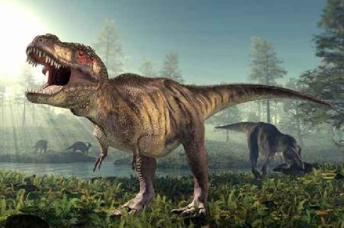 'Life-size T-Rex skeleton' approved to be built in Essex garden
