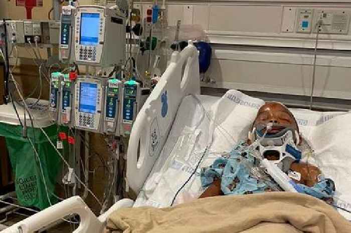 Tourist from Essex fled US after hospitalising children in car crash
